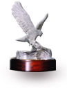 IATA Eagle Award