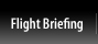 Flight Briefing