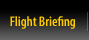 Flight Briefing